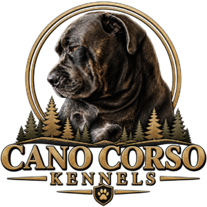 Cano Corso Kennels