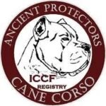 Cano Corso Kennels
