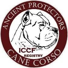 Cano Corso Kennels